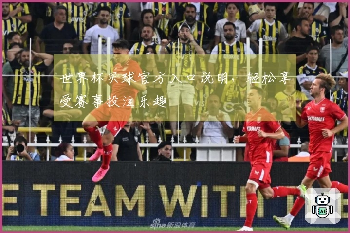 世界杯买球官方入口说明，轻松享受赛事投注乐趣