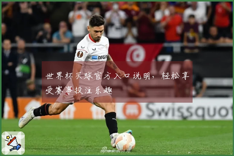 世界杯买球官方入口说明，轻松享受赛事投注乐趣