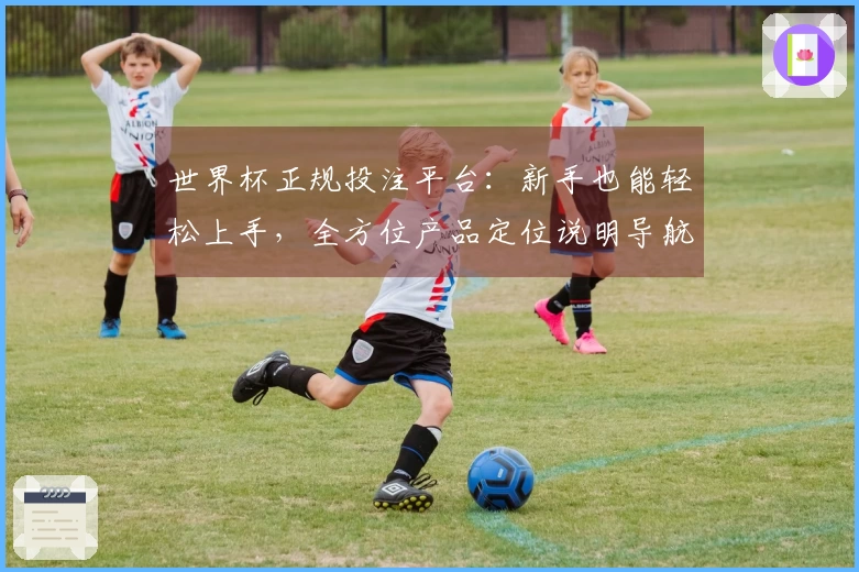 世界杯正规投注平台:新手也能轻松上手,全方位产品定位说明导航