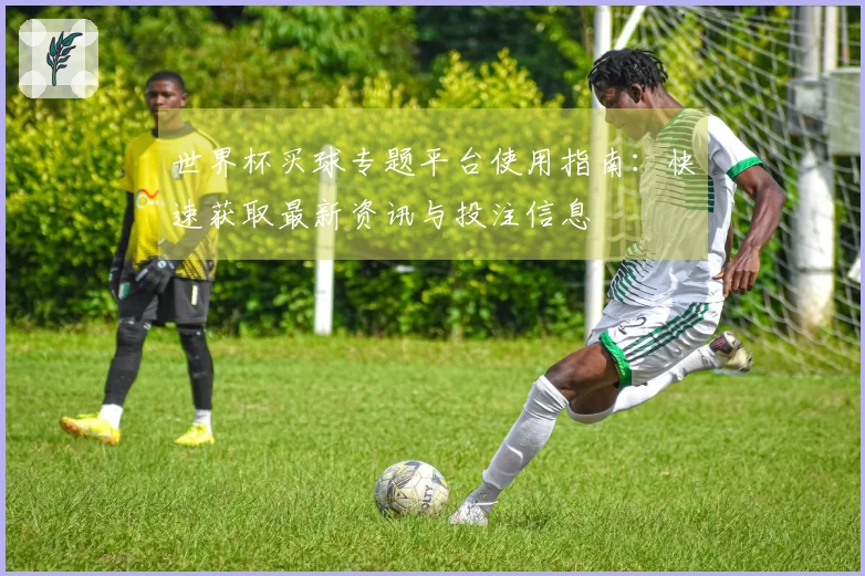 世界杯买球专题平台使用指南：快速获取最新资讯与投注信息