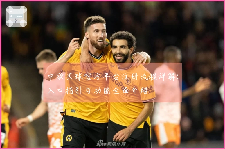 中欧买球官方平台注册流程详解：入口指引与功能全面介绍